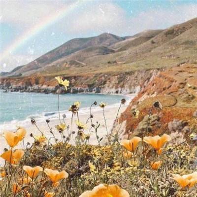 爱游戏APP·官方登录入口(ayx)