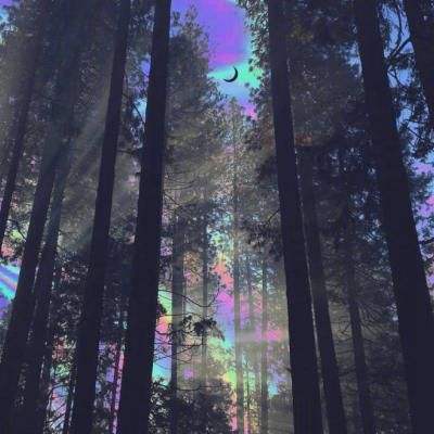 亚洲杯冠亚军竞猜